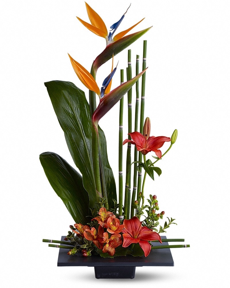 Paradise Found Flower Arrangement