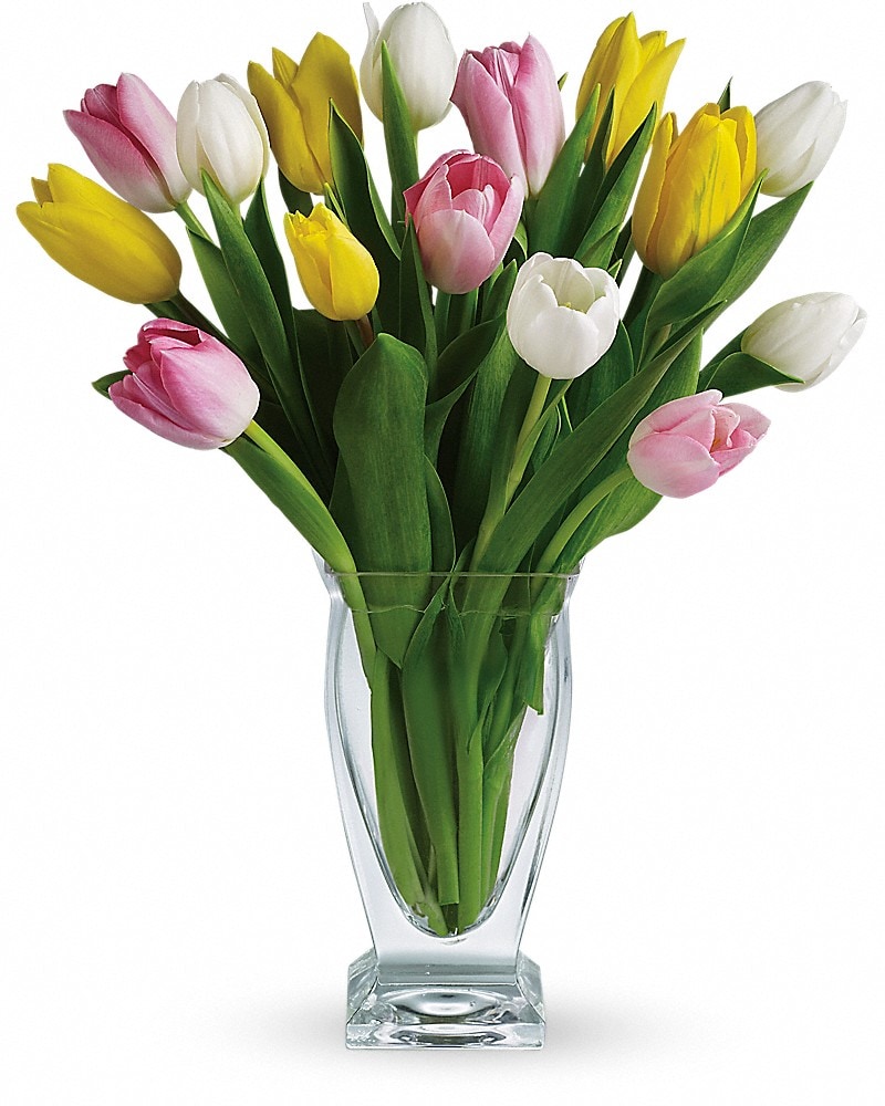 Teleflora's Tulip Treasure