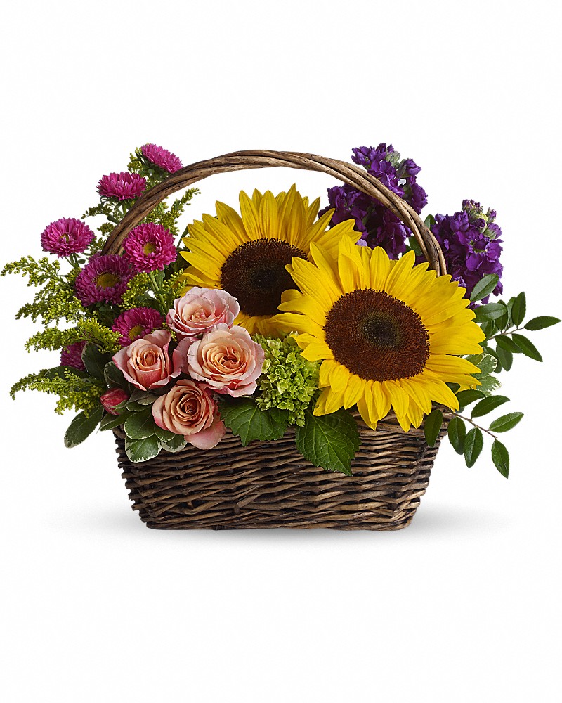 Picnic in the Park Basket Arrangement