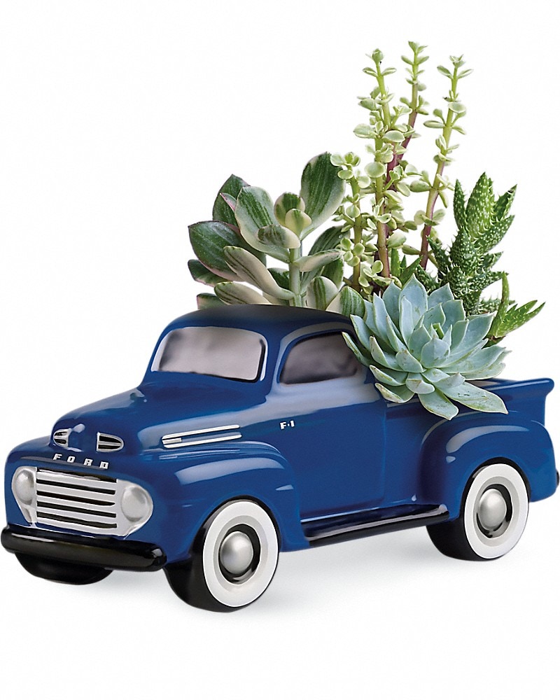 His Favorite Ford F1 Pickup by Teleflora Plant
