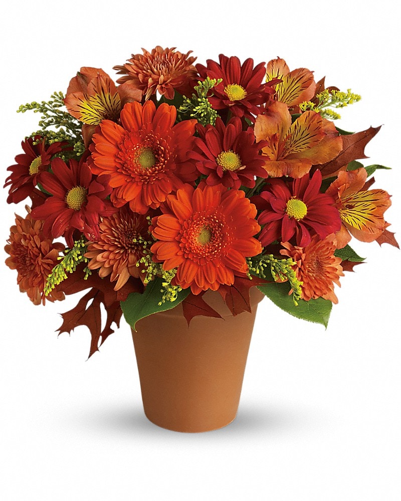 Golden Glow Flower Arrangement