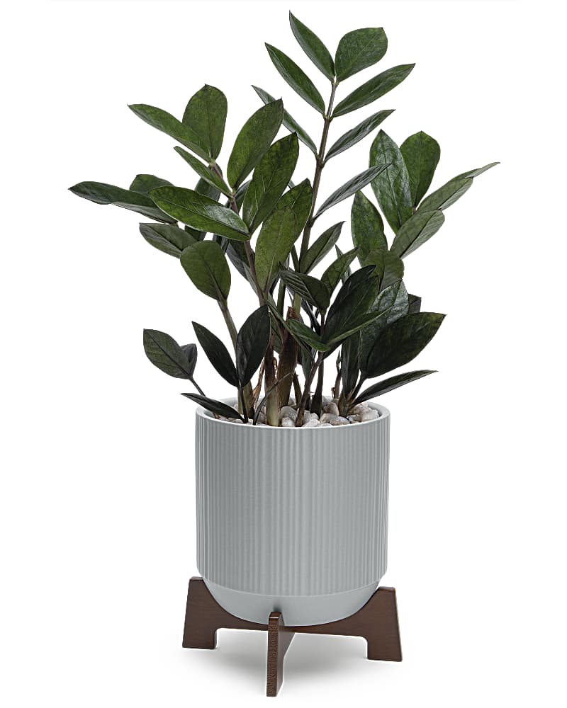 Teleflora's Mid Mod Classic
