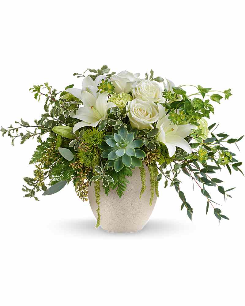 Send The Best Deal of the Day - Biggest Freshest Arrangement