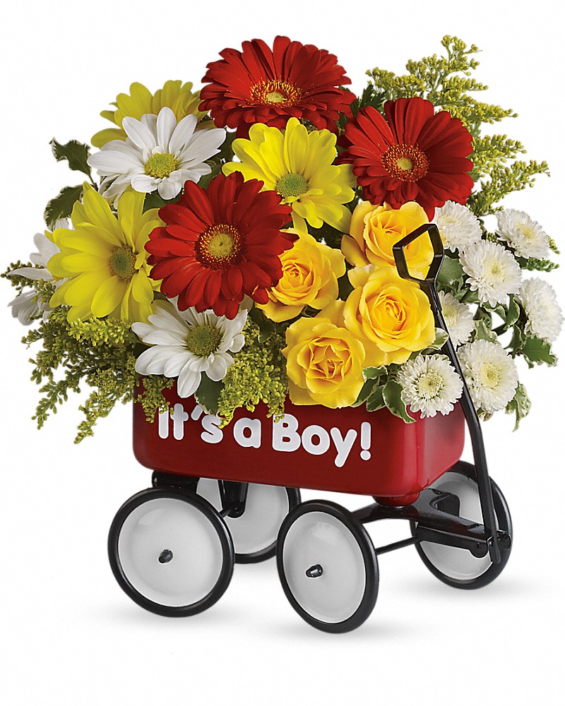 Babys Wow Wagon By Teleflora Boy