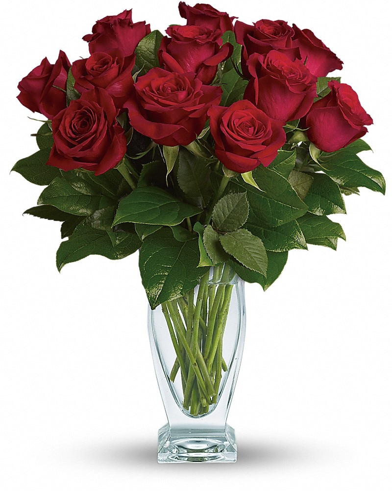 Teleflora's Rose Classique Dozen Red Roses