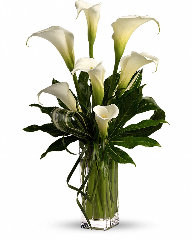 My Fair Lady by Teleflora Bouquet
