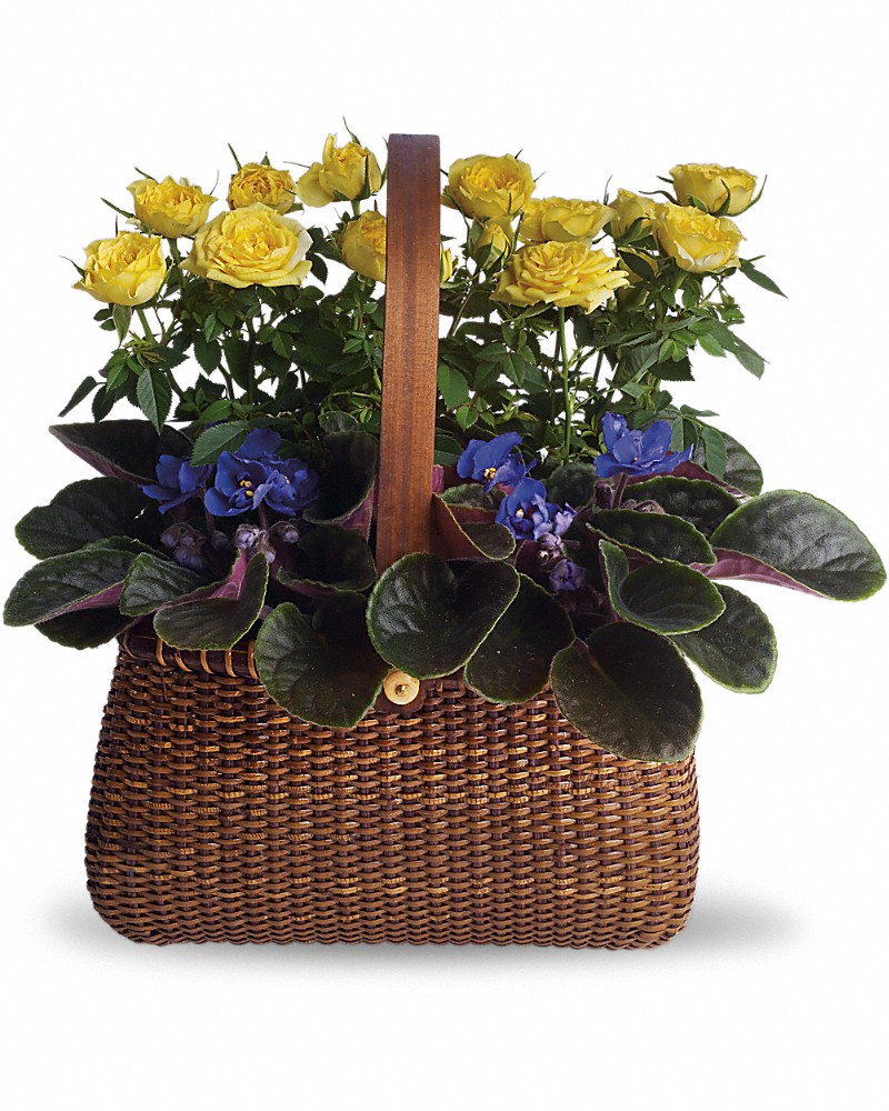 Garden To Go Basket Arrangement