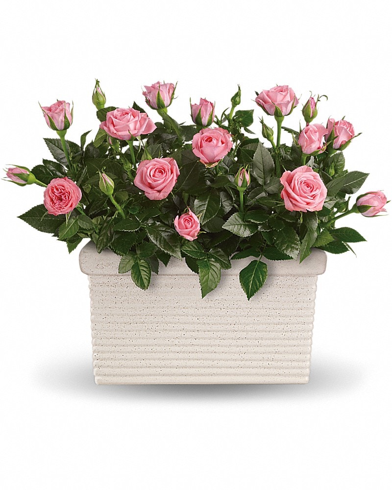 Rose Repose Bouquet