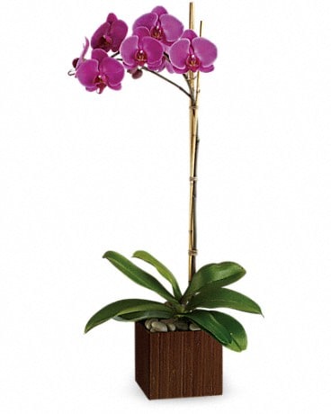 Love Spiral Flower Arrangement