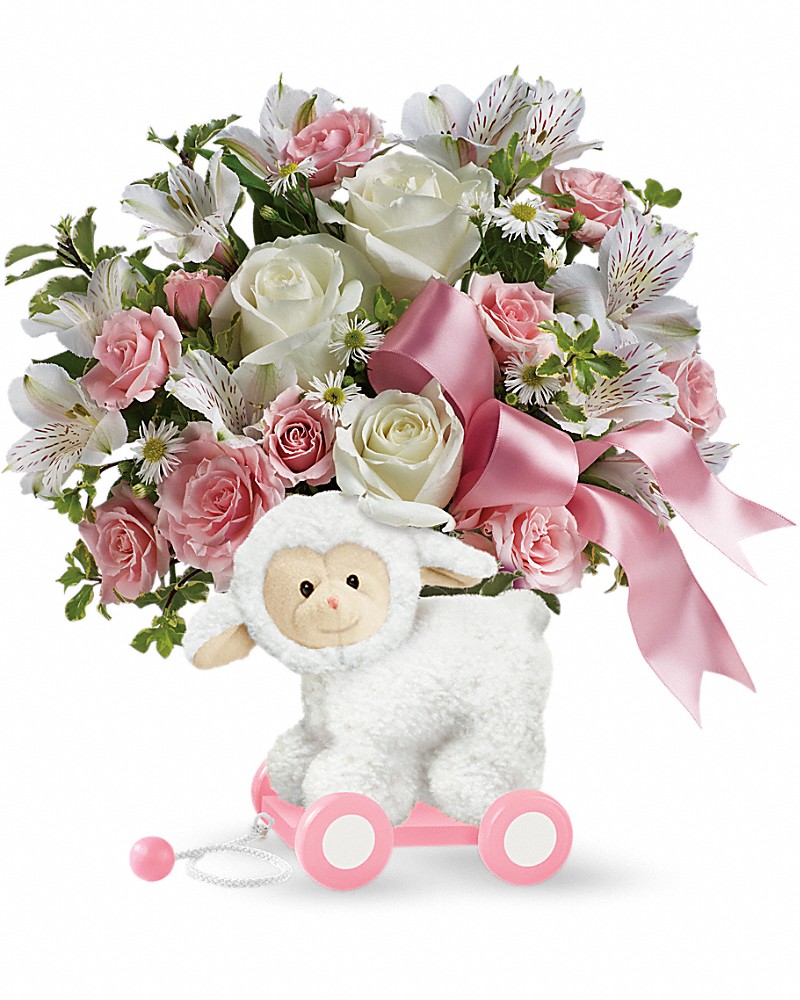 Teleflora's Sweet Little Lamb Baby Pink