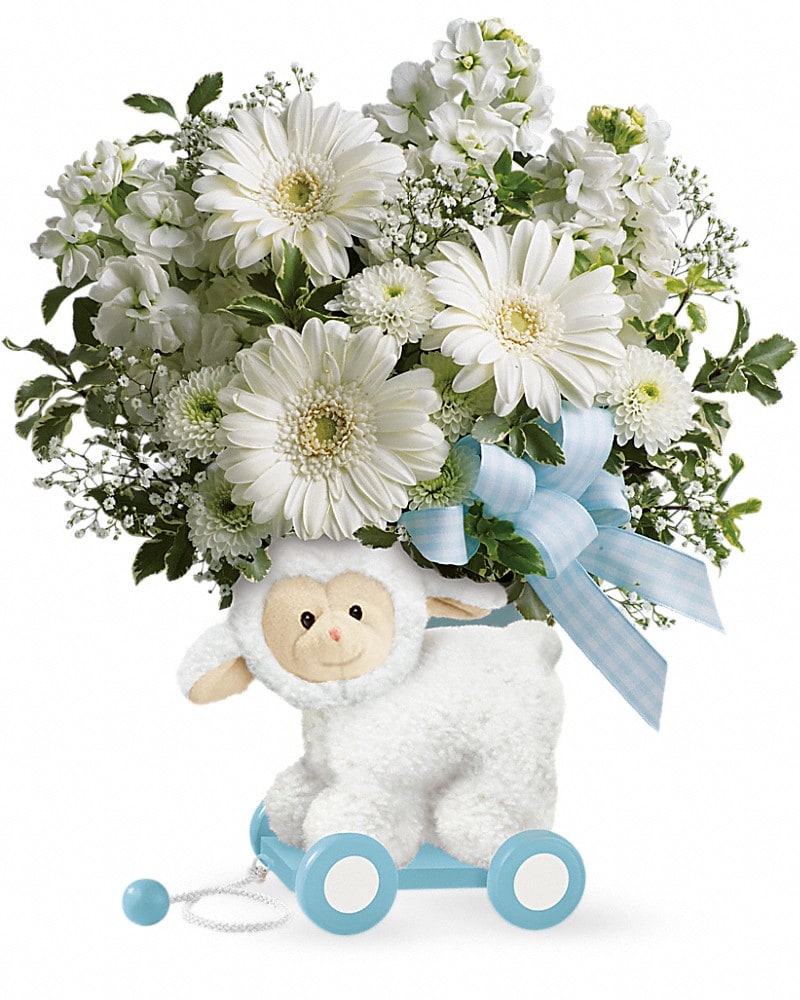 Teleflora's Sweet Little Lamb Baby Blue