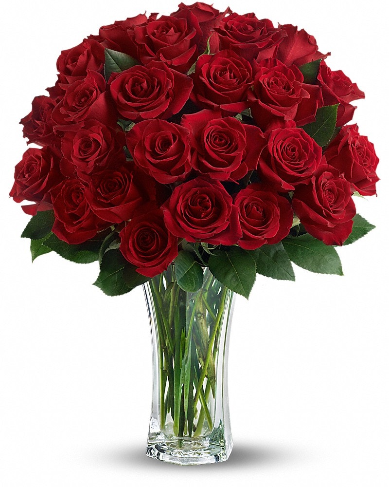 Love and Devotion - Long Stemmed Red Roses Bouquet